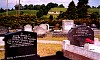 tyrone_kilskeery_coi_graveyard__bill_hall_may1998_i.jpg